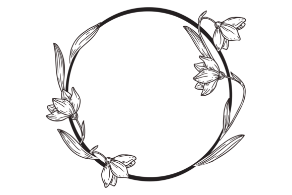Download Vintage Elegant Frame. Hand Darwn Botani - Frame Collection