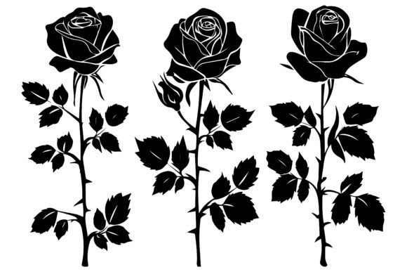 Download Rose Black and White Clipart - White Collection