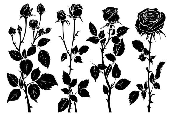 Download Rose Black and White Clipart - White Collection